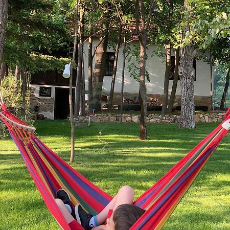 Konaciste Mali Izvor Villa Boljevac Dış mekan fotoğraf