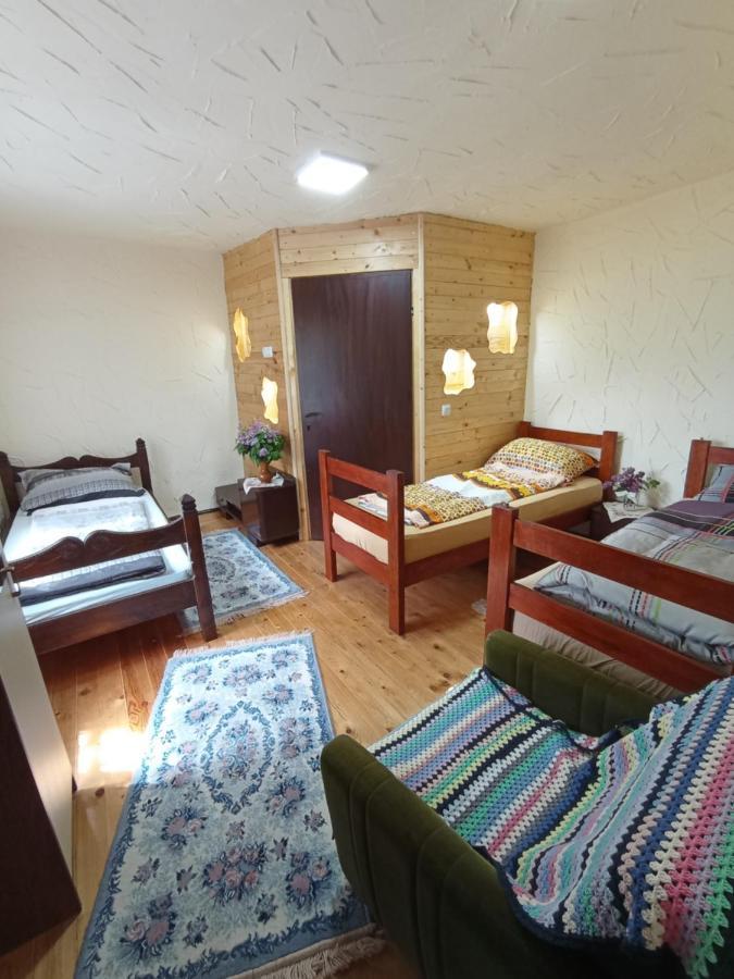 Konaciste Mali Izvor Villa Boljevac Dış mekan fotoğraf