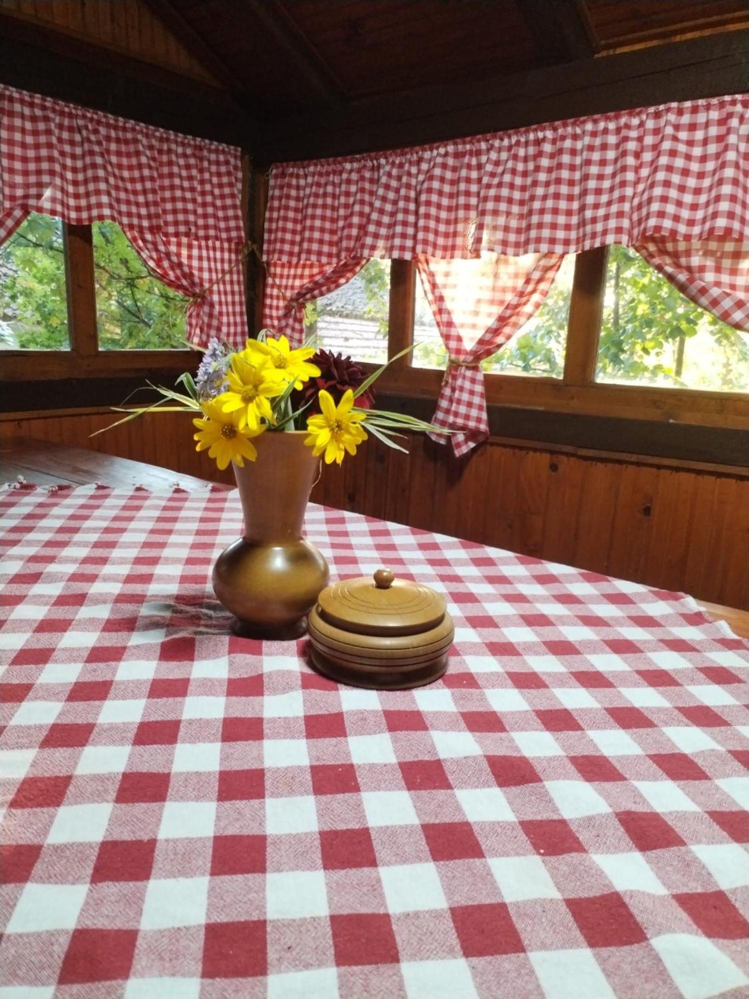 Konaciste Mali Izvor Villa Boljevac Dış mekan fotoğraf